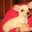 Valerie Holliday's profile image