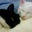 Katherine Hatcher's profile image
