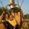 Kathy Mutchler's profile image