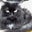 Brenda McFann's profile image