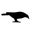 Black Crow Yoga's profile image