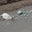 Steve Hafer's profile image