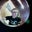 Charlie Anderson's profile image