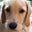 Brian Schnell's profile image