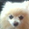 Jacque Gress Corbett's profile image