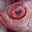 BoogerRed's profile image