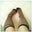 tara gershman's profile image