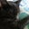 Brittney Capp's profile image