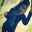 Erica Alman's profile image