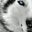 Cj Hostrander's profile image