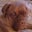 Jacqueline T-Anz's profile image