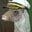 James Ayers's profile image