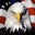 David G's profile image