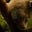 🎧 Patty Lascher 🍰's profile image