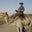 Robert Schuur's profile image