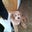 Lynn Hehr's profile image