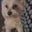 Jay Waller's profile image