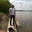 Bronson Haffke's profile image