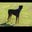 Richard Klemme's profile image