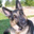 Kelly Breindel's profile image