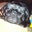 Louise Gasperetti Thomas's profile image