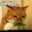Omar Rodriguez's profile image