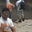 Prince Bhojwani's profile image