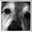 Jon Dough's profile image