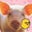 PETA's profile image