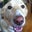 Terri Pomeroy's profile image