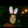 Robin Marolt's profile image