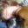 Eric Sandstrom's profile image