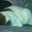 Matthew Verhulst's profile image