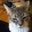 Anna Digges's profile image