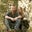 Sarah Willey's profile image