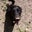 Tiffany's profile image