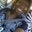 Yasmin Hamilton's profile image