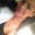 Melissa Estevez's profile image
