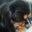 Phee I's profile image