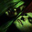 Phillip Smith's profile image