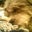 Tracie Johnson's profile image