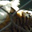 Charlene Millette's profile image