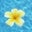 Mary George-Feiock's profile image