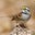 Cooki Lumsden's profile image