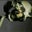 Gregory Gebert's profile image
