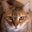 Beth Fenwick's profile image