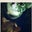 Shelley's profile image