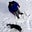 Ralph Fuhr's profile image