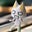 Dennis Brown's profile image