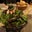David B's profile image